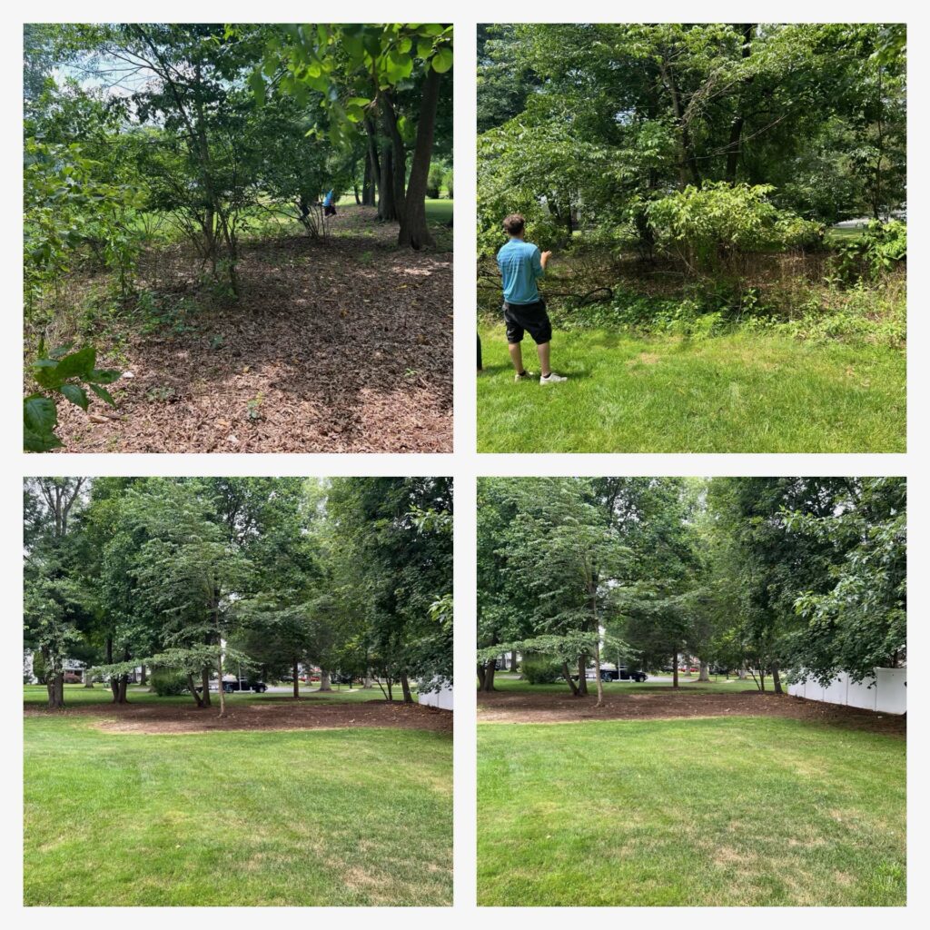 landscaping, grass cutting and weed removal paned